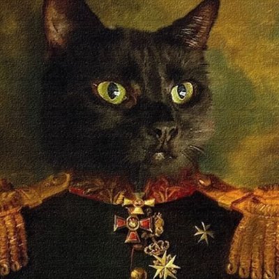 baellouf's profile picture. ml @ the big green pawn