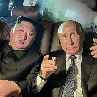 Majoratwork's profile picture. i can rug you dev ? can you ?