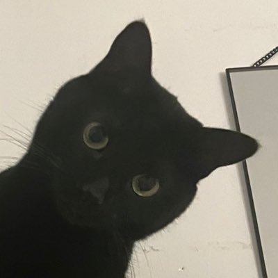 jesuistropsex's profile picture. 