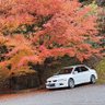 Miyabi_EVO8MR's profile picture. 奈良県民( ・∇・)
元エボ8MR乗り