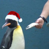 응행장 (@tm_knows) 's Twitter Profile Photo