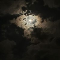 ҽ (@esraaaareda) 's Twitter Profile