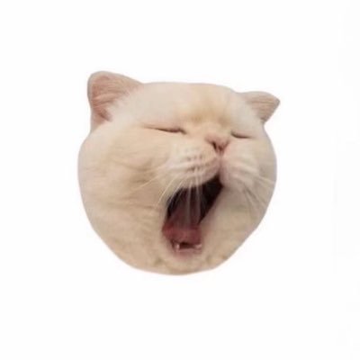 Mi70ki07's profile picture. 