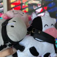 スヤ (@suya_w_s) 's Twitter Profile Photo