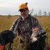 Erkki Ahervo (@eahervo72016) Twitter profile photo Erkki Ahervo (@eahervo72016) Twitter profile photo