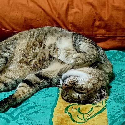 WoraSukraroek's profile picture. I wont tweet anything. just follow