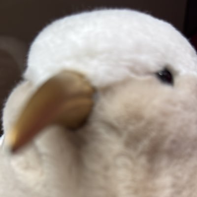 BlueSimonSky's profile picture. Futterbly