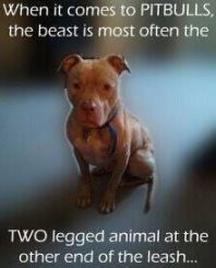 BroWeeble1's profile picture. Diehard Redskins fan; loves the fine arts; international traveler; Retired Army Officer; loyal and faithful to friends to the end