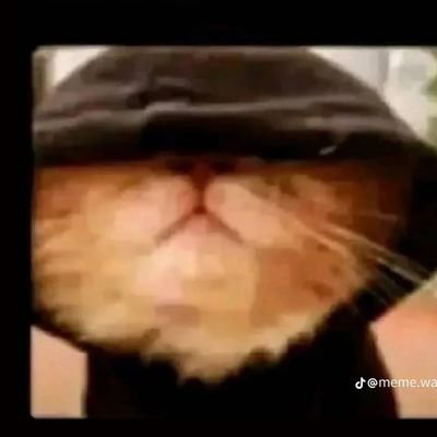 melvo2897331839's profile picture. 