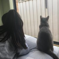 nabi (@nabioce) 's Twitter Profile