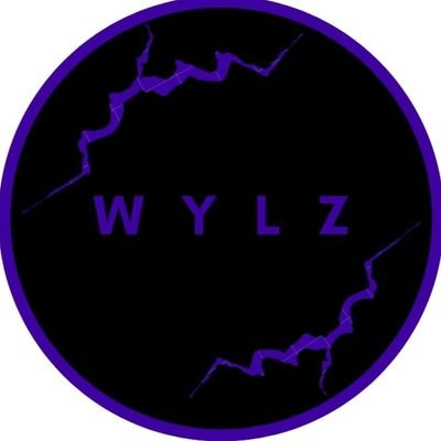 wylz41's profile picture. Interested in Resident Evil analysis and leaks.