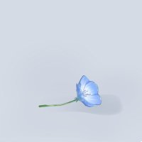 みとり (@mitori_33) 's Twitter Profile Photo