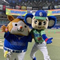 AKI∞🐨🌺🌴 (@akiaki82079388) 's Twitter Profile