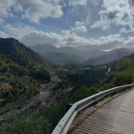 pette63099's profile picture. 