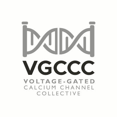 The VGCCC is dedicated to raising awareness and promoting collaboration across the voltage-gated calcium ion channelopathies. @thevgccc.bske.social