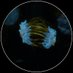DivIDE conference (@divide_2025) Twitter profile photo DivIDE conference (@divide_2025) Twitter profile photo