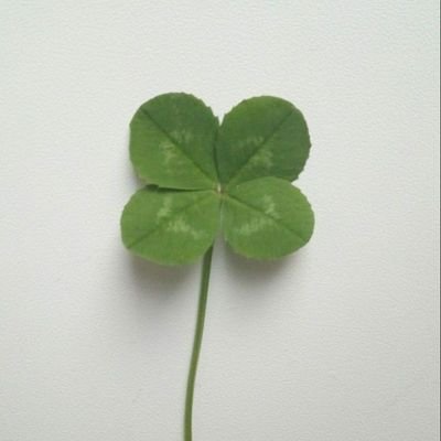 jaqrtuy's profile picture. 