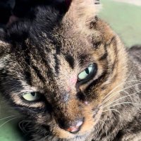 みちる (@06200404) 's Twitter Profile