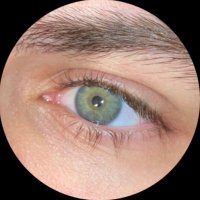 bossboe (@kyleostboe) 's Twitter Profile