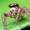 Alexander Rauch - @Alexander_Rauch - Twitter