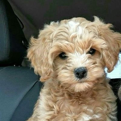 PatrickDan67532's profile picture. 