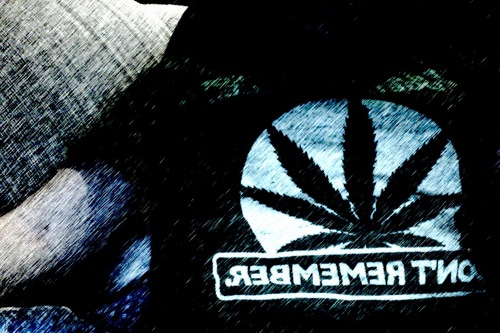 SmokeDaPlant's profile picture. Put your lighters in the air and let 'em know we wont change our lifestyle. We live free. #stayhigh