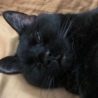 Beth Morris Tanner (@bt_musings) 's Twitter Profile
