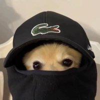koptu kayış (@erdemarslanx) Twitter profile photo