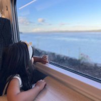 Fatema (@fmsh3344) 's Twitter Profile