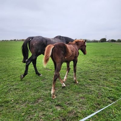 Gone to pastures new where the grass is greener and the sky bluer. https://t.co/ZrSUWPQKFd