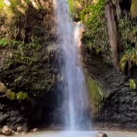 Melike Polat (@melikemrah99) 's Twitter Profile Photo