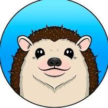 Virgin12345611's profile picture. 