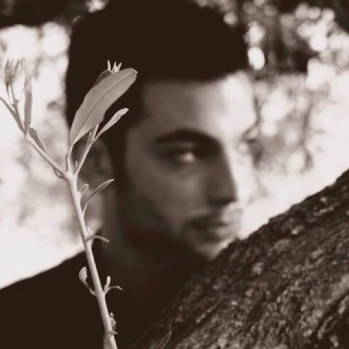 Dan_imp's profile picture. 