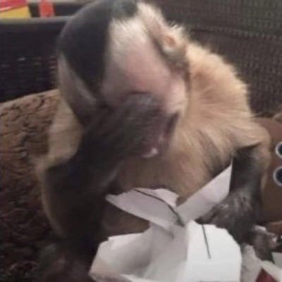 colfeixx's profile picture. 