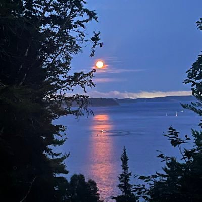 adamMketchum's profile picture. Proud father and Saint Johner