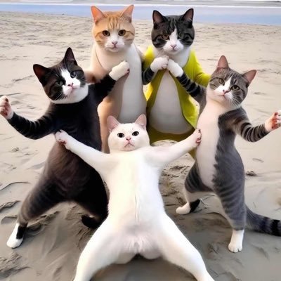 972700082's profile picture. 梦魇