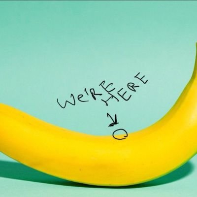 MorganH43623971's profile picture. 