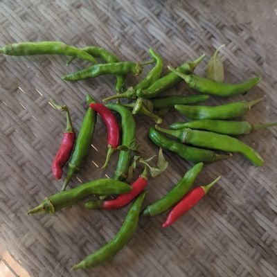 sixmillISRAman's profile picture. hot