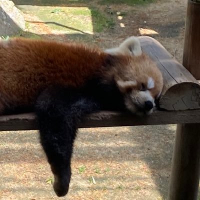 iwasaki_kz's profile picture. KIT B2/NxTEND