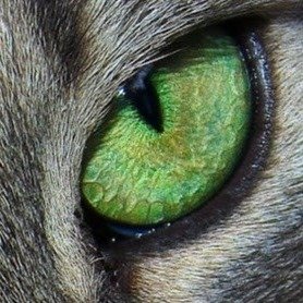 _dimitris4000's profile picture. ...do beautiful things and have fun!