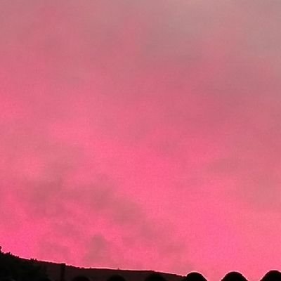 malcolmCox61062's profile picture. 