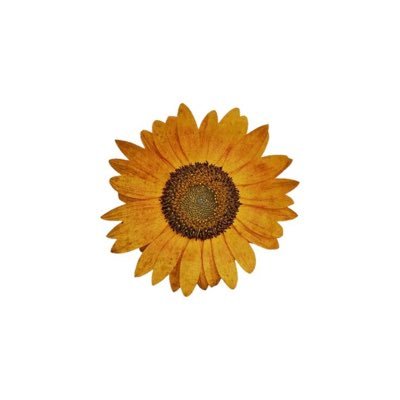 yelloweisun's profile picture. isaiah 43:2 👆