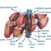 Hepatobiliarysurg_TMH (@hepbilisurg_tmh) Twitter profile photo Hepatobiliarysurg_TMH (@hepbilisurg_tmh) Twitter profile photo