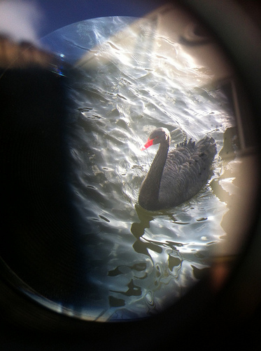 mooiste_dingen's profile picture. Meer dan duizend mooie dingen zijn er: mooi om te zien en mooi om te delen. Wie telt stopt al snel met tellen, zo mooi - mooi, mooi en ik zag dat het mooi was.