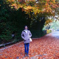 Sahir. (@sahiravik) 's Twitter Profile