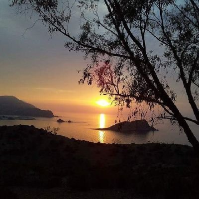 uland_01's profile picture. 