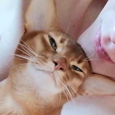 LiliayFm's profile picture. 