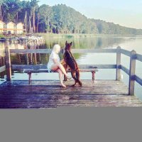 Madzik (@madziulex) 's Twitter Profile