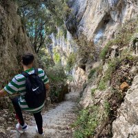 David (@davidrf1697) 's Twitter Profile