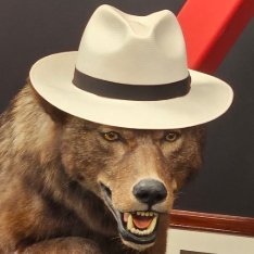 BartHoskinson's profile picture. Bart is the degenerate office wolf that charles transforms into occasionally.

🧵Policy

50b6c32688a984f726fa2193ce6de1cdb57ee871feef41280bed01ff